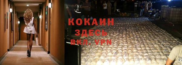марки nbome Гусев