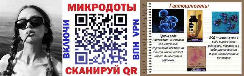 Купить закладки  Каспийск  Псилоцибиновые грибы Psilocybe 